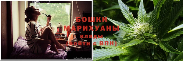 молекула духа Новокубанск