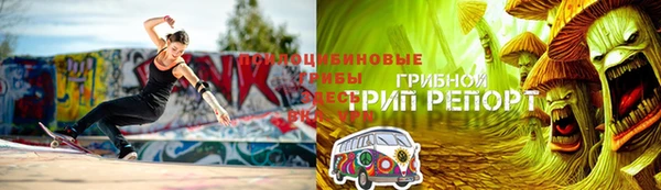 прущие грибы Алексеевка