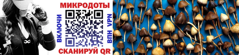 Галлюциногенные грибы мицелий  Могоча 